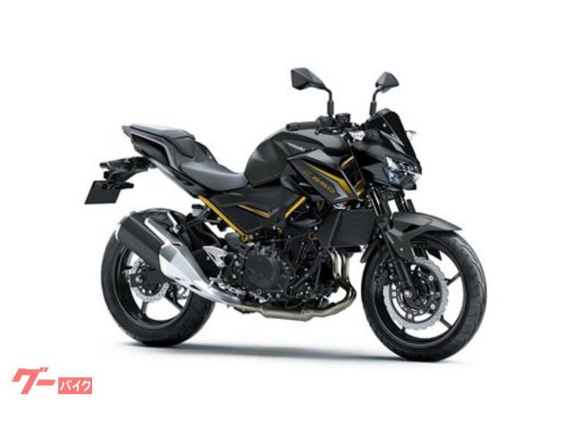 Ｚ２５０　２０２７年モデル