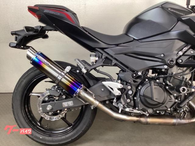 カワサキ Z250 EX250P 2021年モデル BEAMSマフラー