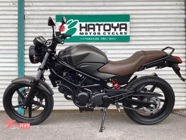 ホンダ VTR250 スペシャルエディション ETC グラブバー装備 ホンダ VTR250 スペシャルエディション ETC グラブバー装備