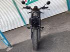ホンダ レブル２５０　Ｓエディションの画像（埼玉県