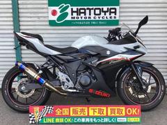 スズキ　ＧＳＸ２５０Ｒ　ＡＢＳ　ビームスマフラー　フェンダーレス