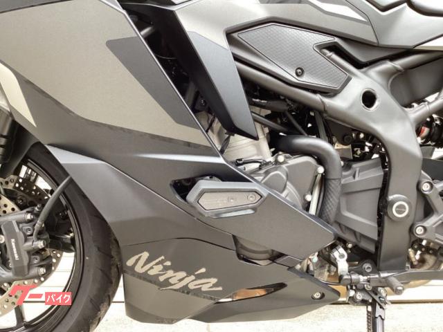 カワサキ Ninja ZX-4R SE 2024年モデル カワサキ Ninja ZX-4R SE 2024年モデル