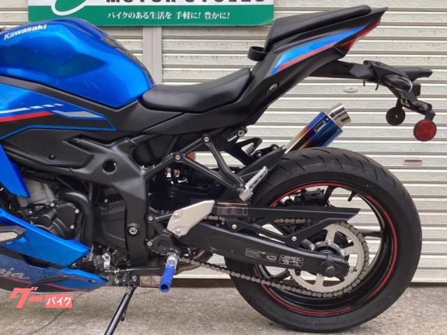 かわの カワサキ Ninja ZX－4R SE 2024年モデル WR's