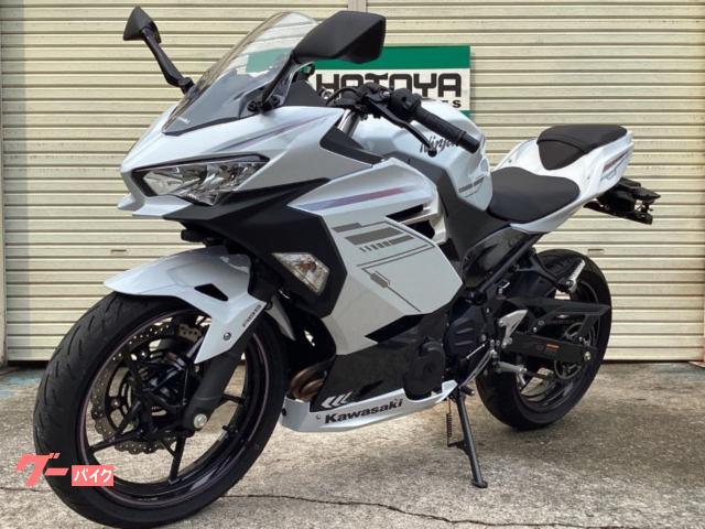レクレア アキレス・ソルボ C 608 ライトグレー｜《EC限定エントリー
