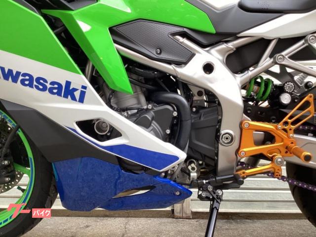 No224 なぽ 　 特注製品４段 カワサキ Ninja ZX－4RR 2024年モデル