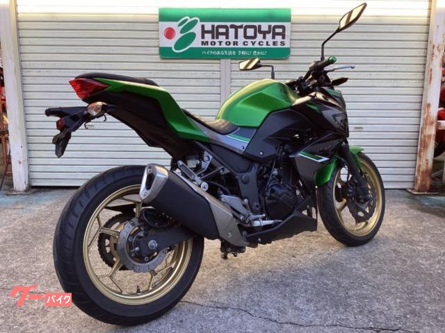 Z250 2017年購入 Z250 ABS/Special Edition］2017年モデル発売は5月15日から