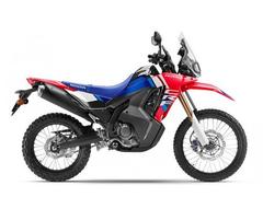 ホンダ　ＣＲＦ２５０　ラリー　Ｓ　２０２５年モデル
