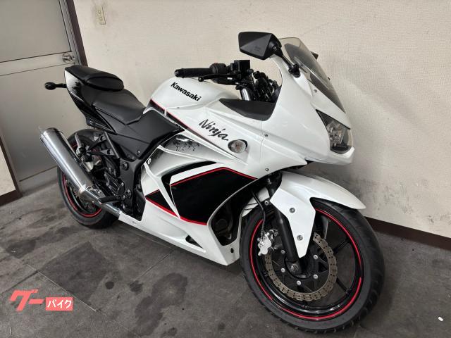 超破格 No1モデル ギュット アクティブホワイト　電動アシストY1818 超破格 No1モデル ギュット アクティブホワイト電動アシストY1818