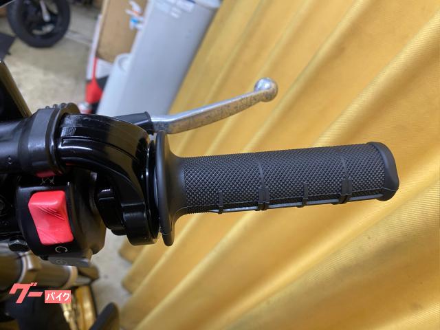 ヤマハ WR250X セミファイナル SP忠男パワーBOX＆