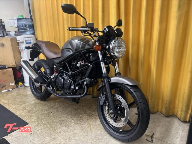 BLUSTERII VTR250 マットビュレットシルバー ビキニカウル 【公式通販】