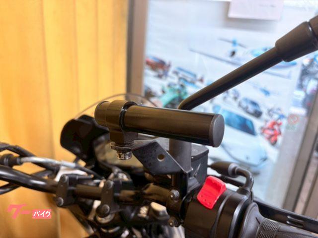 スズキ SV650 VP55B 2021年モデル グラススパークル