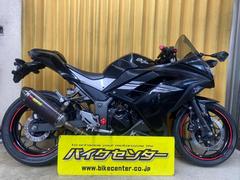 カワサキ　Ｎｉｎｊａ　２５０　ＥＸ２５０Ｌ　２０１７年モデル　アクラポビッチＳＯ　Ｇヒーター　ＵＫレバー　ＵＳＢ付きクランプバー　カスタム多