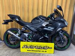 カワサキ　Ｎｉｎｊａ　２５０　２０２２年モデル　ＯＶＥＲ　ＧＰ−ＰＥＲＦＯＲＭＡＮＣＥＸＬフルエキ　ステップＵＰプレート　ＥＧガード