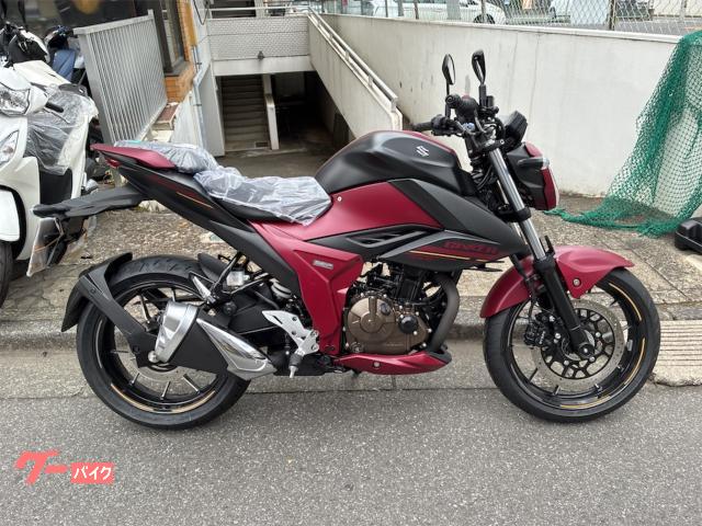 ＧＩＸＸＥＲ　２５０Ｍ５モデル