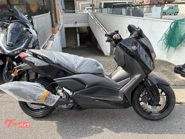 Ｘ−ＭＡＸ２５０　カラー液晶　電動スクリーン
