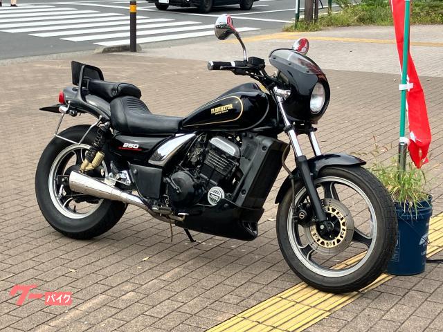 カワサキ エリミネーター250SE スパトラマフラー EL250A