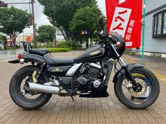 カワサキ　エリミネーター２５０ＳＥ　１９９４年モデル　ノーマル　サイドバッグ付き