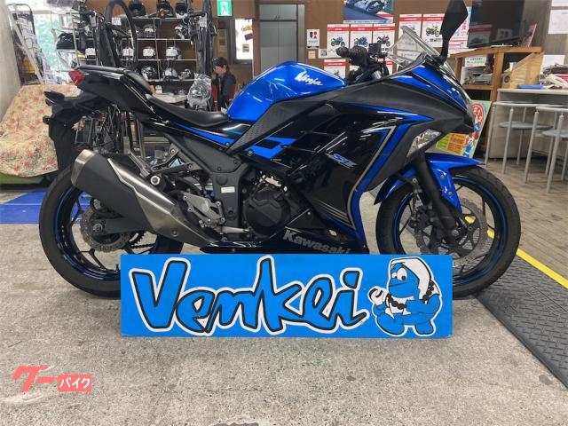 Ｎｉｎｊａ　２５０