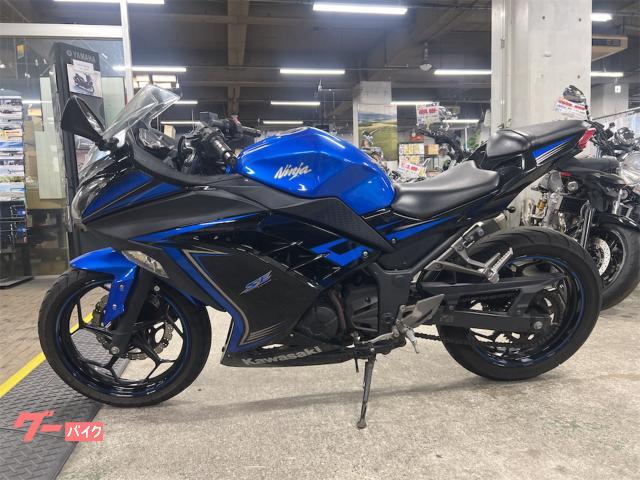 福袋・半額ポスター - クリーニング屋さん専用の通 カワサキ 本店｜新車・中古 250｜（株）ベンケイ Ninja ルアー・フライ