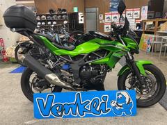 カワサキ　Ｚ２５０ＳＬ　フォグランプ・ウインドスクリーン・ＥＴＣ・ＵＳＢ電源・ナックルガード・グリップヒーター・リヤキャリヤボックス付