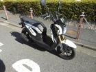 ホンダ ズーマーＸ　輸入車の画像（東京都
