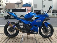 カワサキ　Ｎｉｎｊａ　２５０　ＥＴＣ　社外マフラー　６８９２５