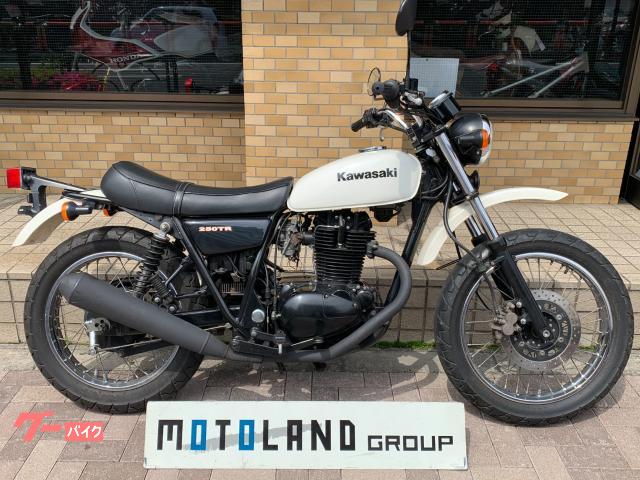 ２５０ＴＲ　６６６１８