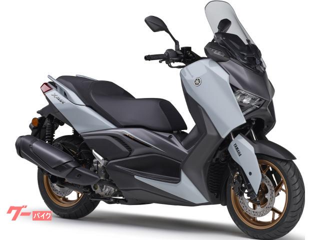 Ｘ−ＭＡＸ２５０