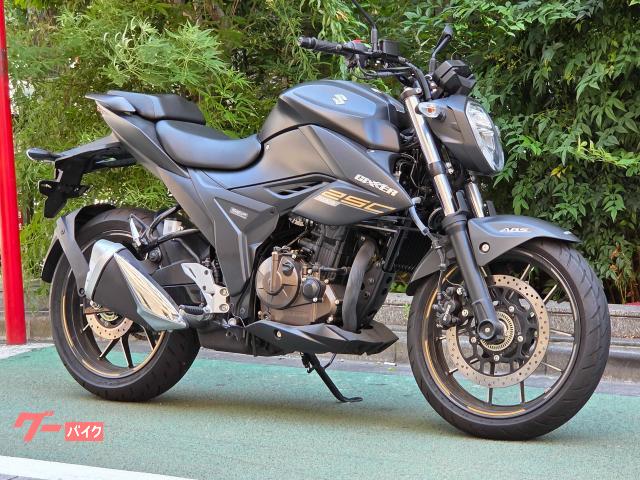 ＧＩＸＸＥＲ　２５０