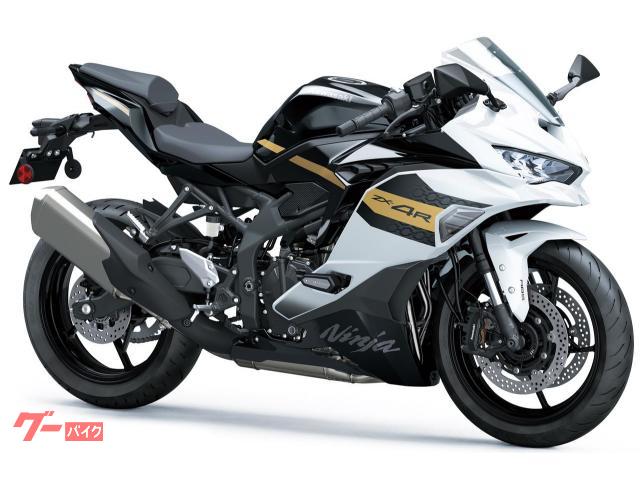 Ｎｉｎｊａ　ＺＸ−４Ｒ　ＳＥ