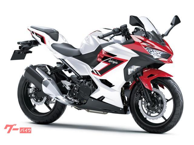 Ｎｉｎｊａ　２５０