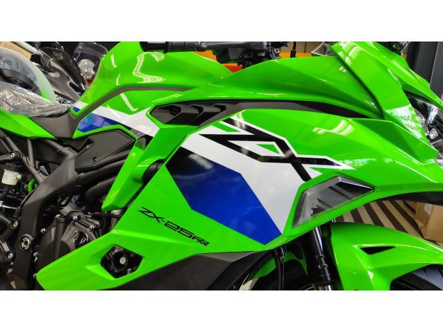 めちゃくちゃ貴重品 カワサキ Ninja ZX－14R ハイグレード 2017年モデル