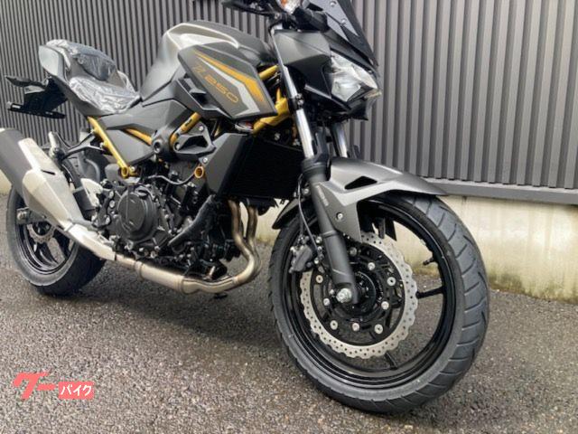 カワサキ Z250 2027モデル｜（株）ウエストウッド井原商会