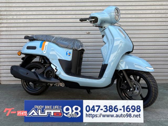 ファツィオ　Ｆａｚｚｉｏ　ＳＥＬ６Ｊ　ダルブルーソリッドＢ