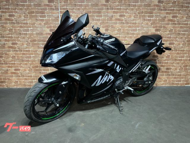 カワサキ Ninja 250 ABS KRT Winter Test