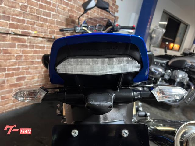 メメイページ カワサキ ZRX1200 DAEG 外装ペイント フロント