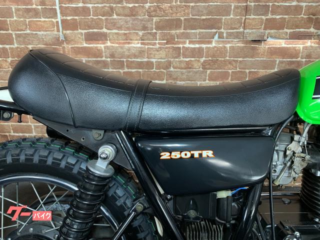 250TR】FRP バナナタンクキット 250TR/エストレア(キャブ車