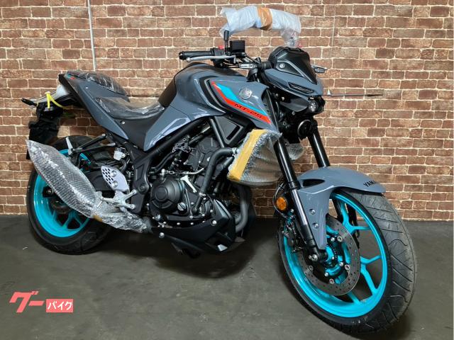 ＭＴ−２５　ＡＢＳ
