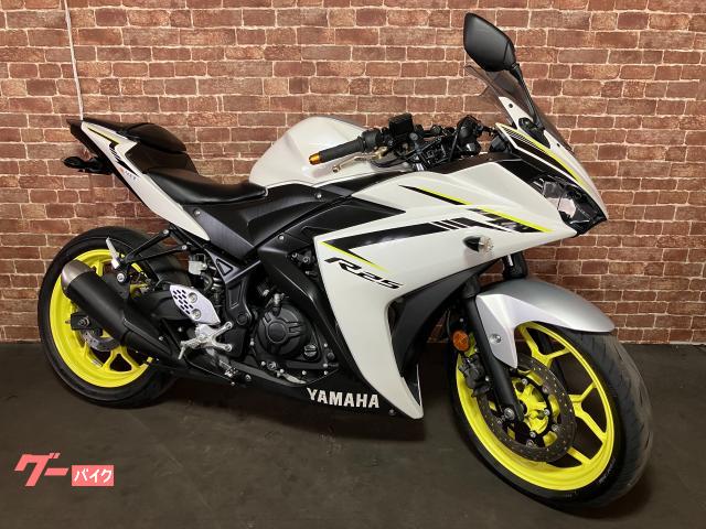 ＹＺＦ−Ｒ２５　ＲＧ４３Ｊ　ＥＴＣ　リアフェンダーレスキット　ヘルメットホルダー　バーエンド　レバー　グリップ