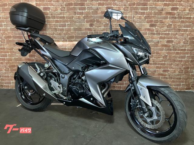 Ｚ２５０　ＡＢＳ　ＵＳＢ電源　リアキャリア　リアボックス