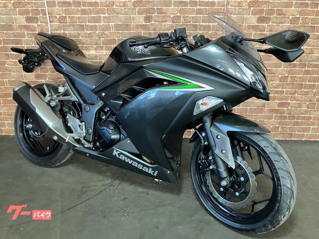 Ｎｉｎｊａ　２５０　ＥＴＣ　グリップヒーター