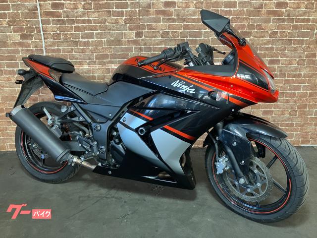 Ｎｉｎｊａ　２５０Ｒ　エンジンスライダー