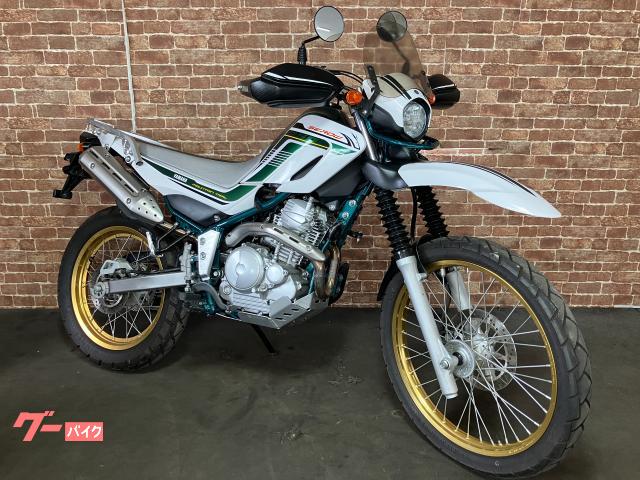 セロー２５０　ファイナルエディション　ＥＴＣ　Ｙｓギアパフォーマンスダンパー　ＳＰ忠男パワーボックス　ビームスマフラー　キャリア
