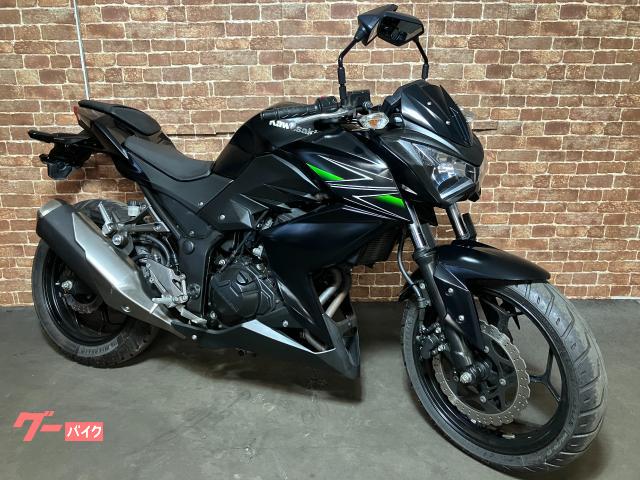 Ｚ２５０　２０１３年モデル