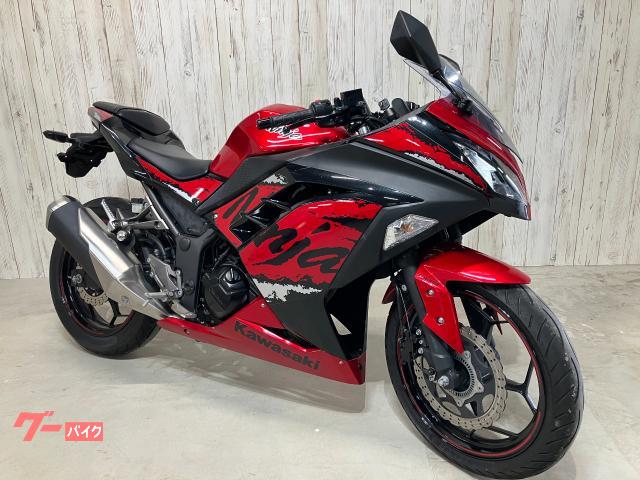 Ｎｉｎｊａ　２５０　Ｓｐｅｃｉａｌ　Ｅｄｉｔｉｏｎ　ＡＢＳ