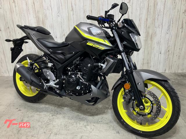 ＭＴ−２５　ＲＧ４３Ｊ　社外レバー