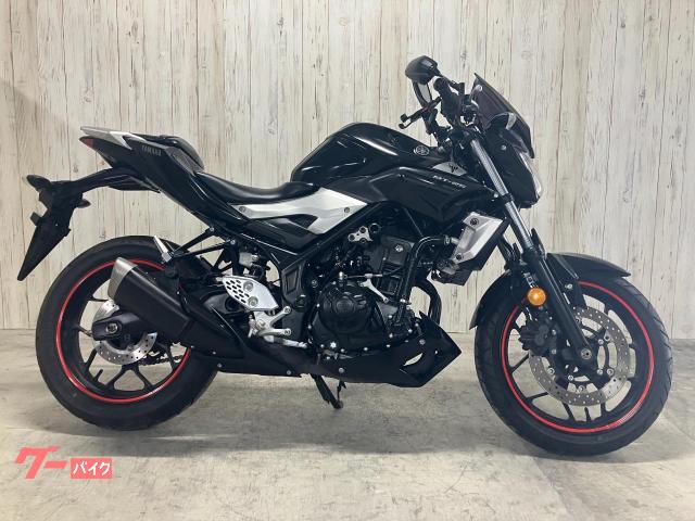ＭＴ−２５　ＲＧ１０Ｊ　ＥＴＣ　スクリーン　エンジンスライダー　グリップ　ヘルメットホルダー
