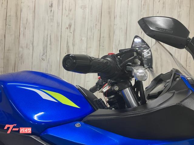 スズキ GSX250R ETC2.0 Mioドラレコ リアキャリア スズキ GSX250R ETC2.0 Mioドラレコ リアキャリア