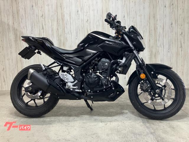 ＭＴ－２５　ＲＧ４３Ｊ　ＥＴＣ　Ｙｓギアグリップヒーター　リアフェンダーレスキット　ＬＥＤウインカー　ヘルメットホルダー