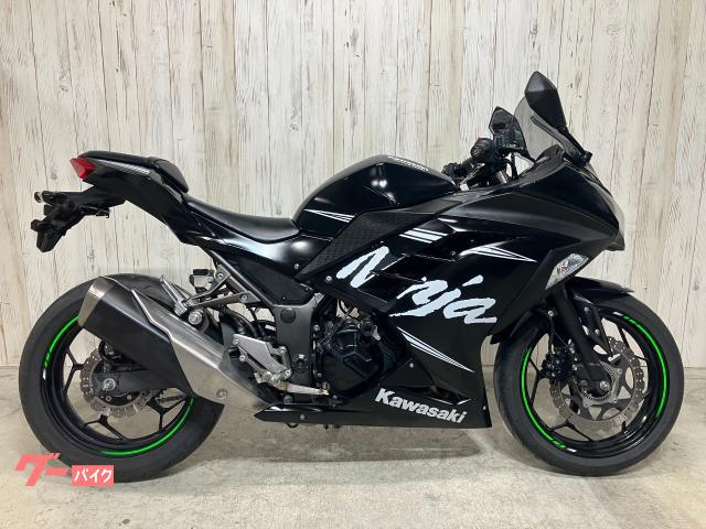 カワサキ Ninja 250 ABS KRT Winter Test